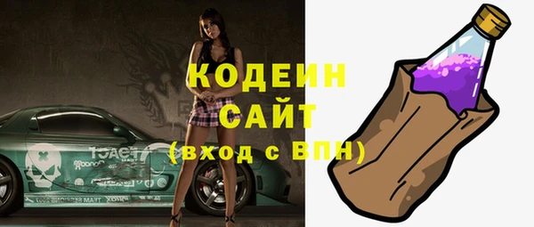 индика Бугульма