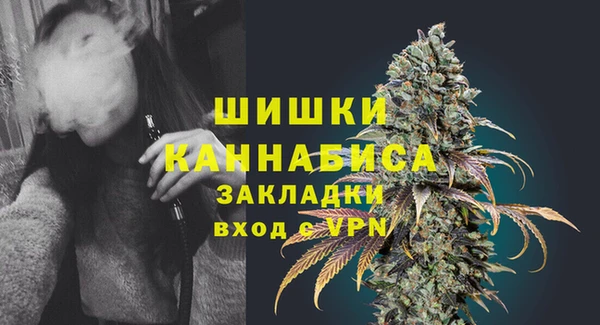 индика Бугульма
