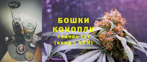 2c-b Бородино