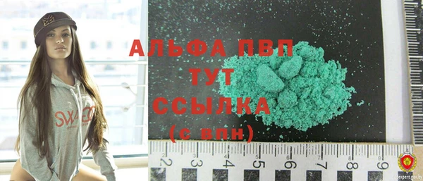 индика Бугульма
