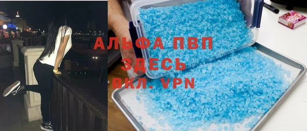 индика Бугульма