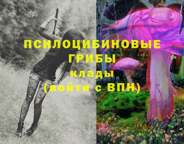 индика Бугульма