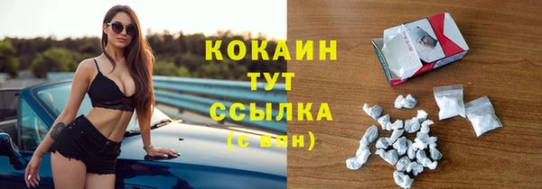 индика Бугульма