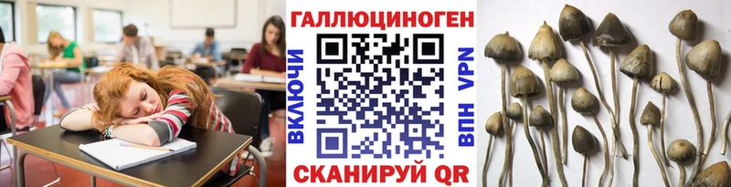 Галлюциногенные грибы ЛСД  Колпашево 